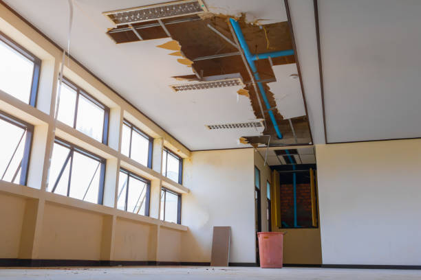 Best Mold removal after water damage  in New Orleans, LA