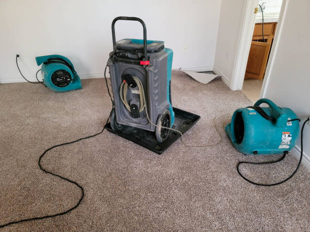 Best 24/7 water damage repair  in New Orleans, LA