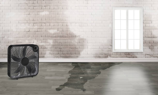 Best Emergency water damage restoration  in New Orleans, LA