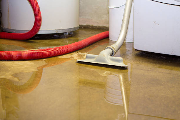 Best Ceiling water damage repair  in New Orleans, LA