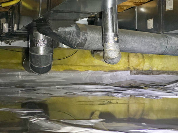 Best Local water damage restoration  in New Orleans, LA