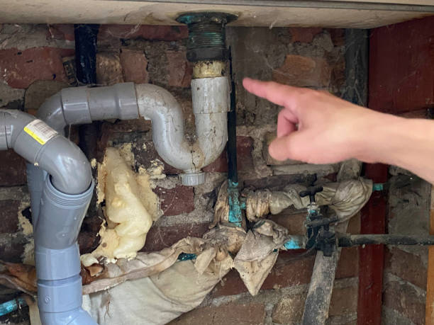 Best Water damage restoration specialists  in New Orleans, LA